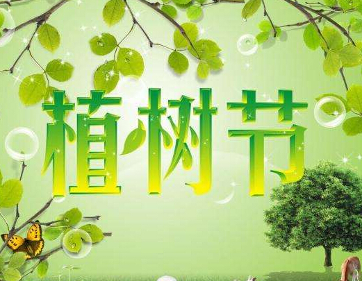植树节:人与树之间的生命史诗